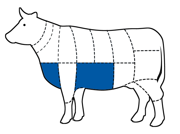 Chart of cattle with Brisket cut highlighted in blue