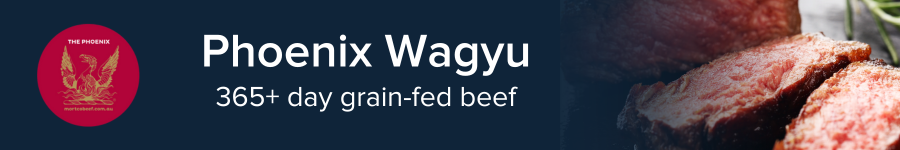 Mob Phoenix Banner .png