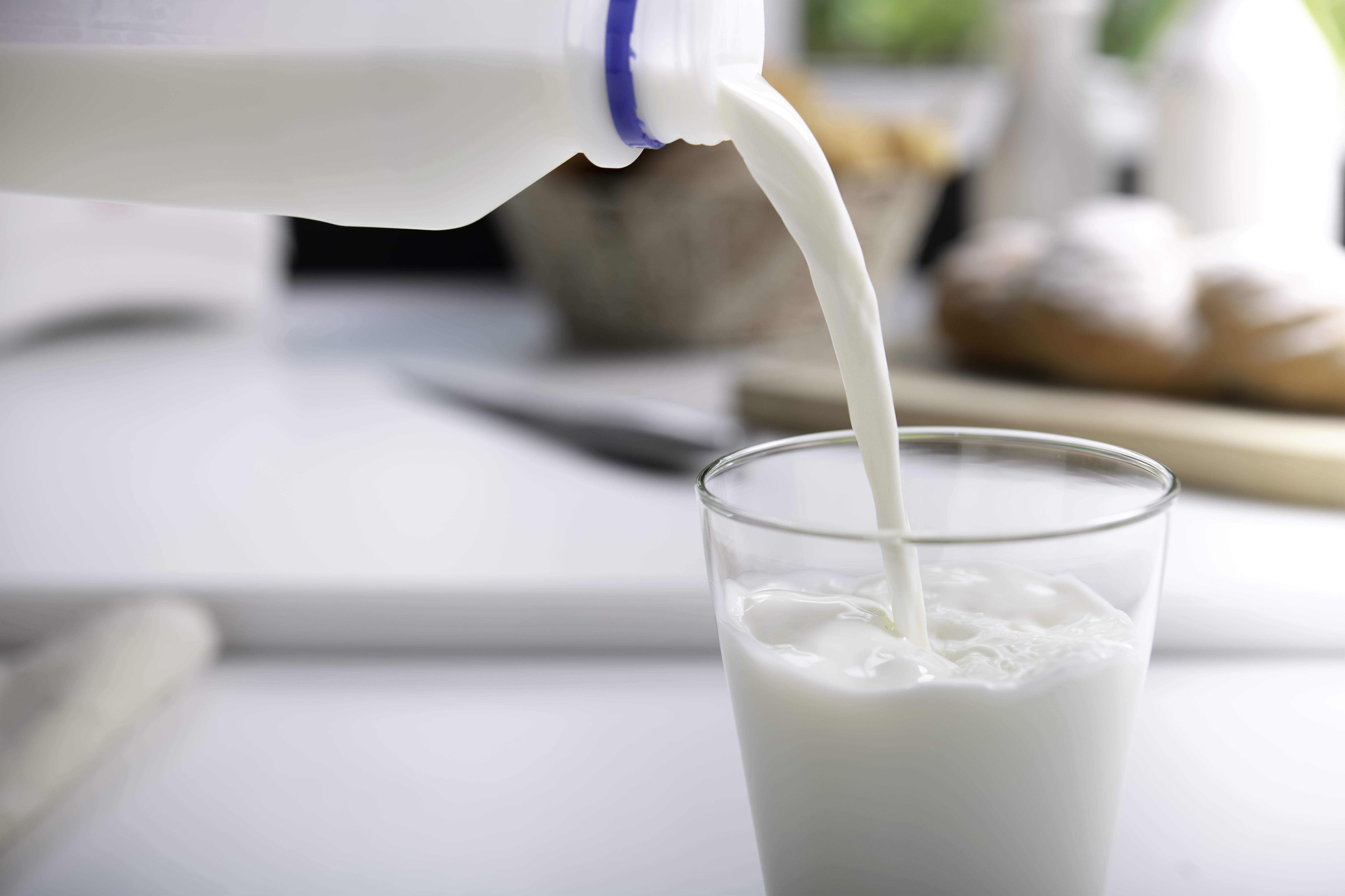 Dairy Image 2.png